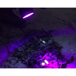 COAST Stnktt Lygte Med UV-Lys