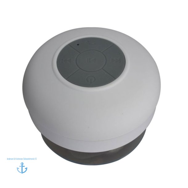 Shakespeare Bluetooth hjtaler