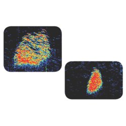 CP450C Clear Pulse Bredspektret Chirp Fiske-ekkolod Modul