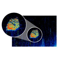 CP450C Clear Pulse Bredspektret Chirp Fiske-ekkolod Modul