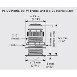 Raymarine Wireless T910 Triducer